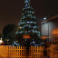 st-albans-christmas-tree.jpg