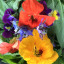 img-8587.jpeg