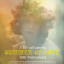 so-l-poster.jpg