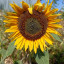 img-20220808104618.jpg