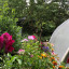 polytunnel-pots.jpg