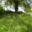 hb-verge-23-may-7.jpg