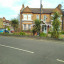 west-bed-12-th-april-2018-other-side-of-the-road-some-tublips.jpg