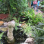 butterfly-house-inside.jpg