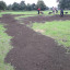 more-ground-levelling.jpg