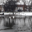the-green-in-winter-2021.jpg