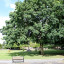 church-view.jpg