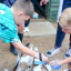 dry-yard-activities.jpg