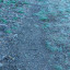 path-now-1.jpg