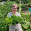 annie-herbs-for-foodbank.jpg