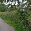 dsc-0109.jpg