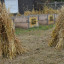 3-harvest.jpg