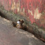 img-6712.jpg
