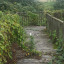 academy-pond-deck.jpg