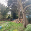 hm-garden-4.jpg