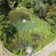 aerial-pond-photo.jpg