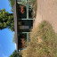 clandon-wood-2.jpg