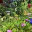 patio-pots.jpg