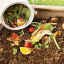 compost-bucket.jpg