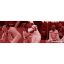 kc-banner-1-new.jpg