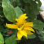 img-7974.jpg