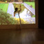 untitled-10-copy.jpg