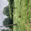 img-7466.jpg