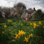 roker-park-from-forp.jpg