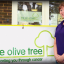 olive-tree-01-rebecca-1-to-use-copy-copy-copy-copy-copy.jpg