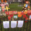 15-3-march-img-9790-st-patrick-web.jpg