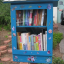 dundlak-little-library.png