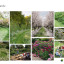 concept-design-2-mood-board.jpg