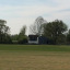 cricket-1.jpg