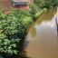 thumbnail-img-0746.jpg