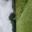 img-7449.jpg