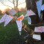 16-jan-18-th-wishes-4698.jpg