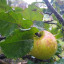 img-20201027-112027833.jpg