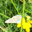 img-1962-2.jpg