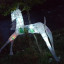 lantern-horse.jpg
