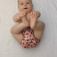 orla-image-h.jpg
