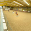 indoor.jpg