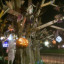 15-10-oct-31-st-hallowe-en-tot-g-3976.jpg