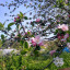 img-20200416-115612674-hdr.jpg