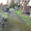 graveyard-photo-1.jpg