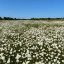 3-d-470-ffa-0995-4-d-9-d-9832-1246-bc-8-f-5-c-0-c.jpg