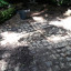 25-c.jpg