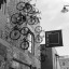 img-1729.jpg