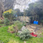 hm-garden-6.jpg