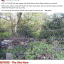 screenshot-2022-05-25-at-20-33-25.png