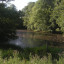 copy-of-guided-walks-16-07-06-5.jpg